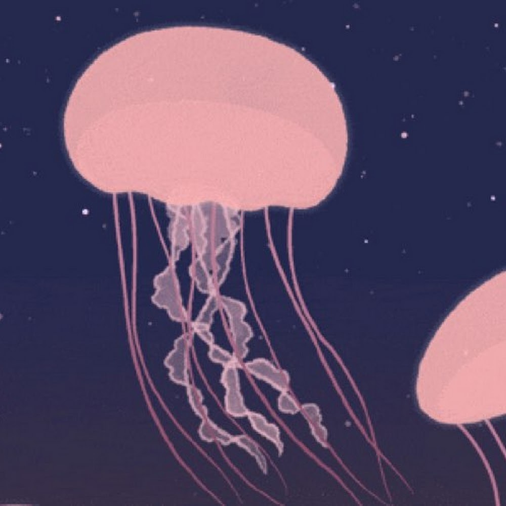 Meet your Posher, Lynn